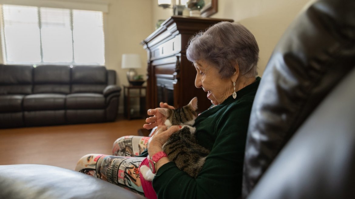 Pet Therapy